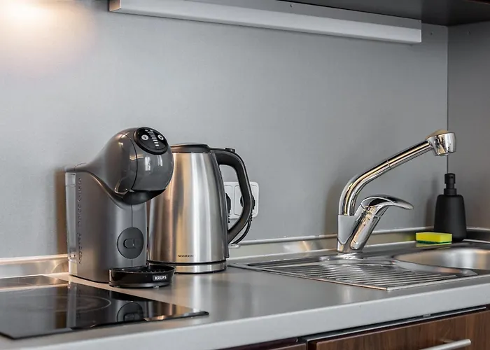 Natural-style In The Centre Of Pozsony